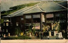 1908. ELMIRA,NY. RORICKS THEATRE. POSTCARD SM16 picture