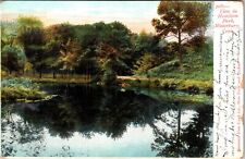 Waterbury CT-Connecticut, View in Hamilton Park, Vintage Postcard picture