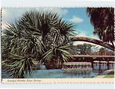 Postcard Beautiful Florida's Silver Springs, Florida picture
