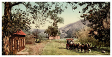 California, Santa Catalina Island, Eagle's Nest Ranch Vintage Print, Ph picture