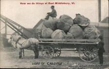 1911 East Middlebury,VT Load of Giant Cabbages Addison County Exaggeration picture