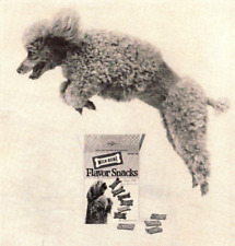 PRINT AD 1964 Milk Bone Flavor Snacks Dog Biscuits Miniature Poodle Jump Vintage picture
