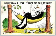 1953 Postcard Howdy From A Little StInker Too Busy To Write Bob Petley Skunk picture