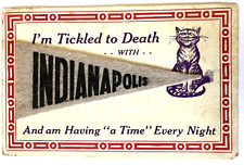 Postcard I'm Tickled to Death with Indianapolis Pennant and Cat B2 picture