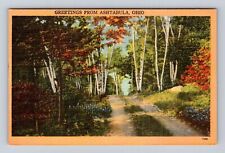 Ashtabula OH-Ohio, General Greetings, Path Area, Antique, Vintage Postcard picture