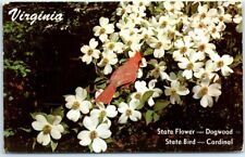 Postcard - Cardinal & Dogwood, The Old Dominion State - Virginia picture