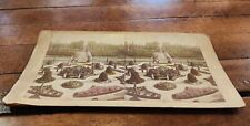 Antique Stereoview Card Shaw's Missouri Botanical Gardens View from Palm House picture
