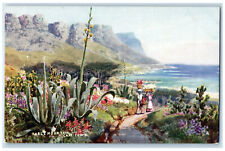 c1910 Table Mountain Cape Town South Africa Oilette Tuck Art Postcard picture