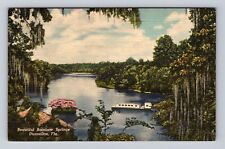 Dunnellon FL- Florida, Beautiful Rainbow Springs, Antique, Vintage Postcard picture