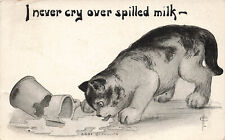 CAT NEAR BROKEN PITCHER NEVER CRY OER SPILLED MILK 1911 VINTAGE POSTCARD 91223 S picture