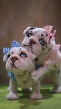 English Bulldog Puppy Dog Izzy~Realistic OAAK Collector Artist Animal Sculpture picture