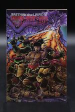 Teenage Mutant Ninja Turtles (1984) #18 1st Series Mark Bodé/Kevin Eastman VF/NM picture