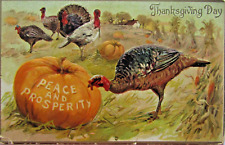 Tuck's Art Post Card Series #161 Thanksgiving Day c1900s  Embossed Postcard C05 picture