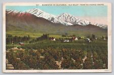 Los Angeles California, Midwinter, Old Baldy from Orange Groves Vintage Postcard picture