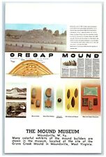 c1950's The Mound Museum Stone Exhibits Moundsville West Virginia WV Postcard picture