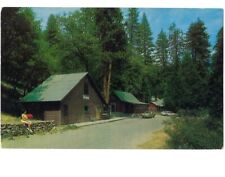 c1960 Camp Wishon Resort Sequoia National Forest California CA Postcard picture