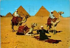 Vintage Postcard Arabian Camel Riders in the Egypt Egyptian Desert Pyramid 1979 picture