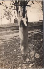 1913 HUNTING SCENE Photo RPPC Postcard / Strung-Up Deer 