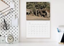 Peaceful Pastures Donkey Rescue 2024 Calendar - Donkeys and MORE Donkeys picture