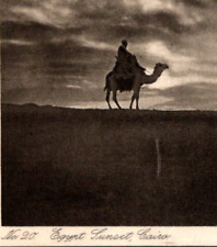 RPPC Camel Pyramid Egypt Sunset Cairo Camel Rider Zogos & Co Postcard No 20 picture