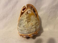 Real Shell with Greek Carving picture