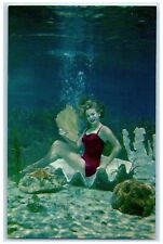 c1960's Mermaid Underwater Weeki Wachee Florida's Silver Springs Postcard picture