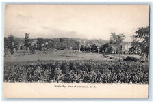 c1905 Bird's Eye View of Johnstown New York NY Antique Unposted Postcard picture