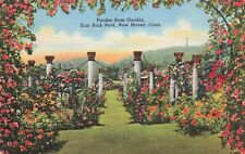 Pardee Rose Garden, East Rock Park, New Haven, CT Vintage PC picture