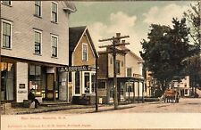 Meredith New Hampshire Main Street Scene Antique Postcard c1900 picture