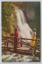 Bushkill Falls Niagara of Pennsylvania Bushkill, Pa Postcard 2090 picture