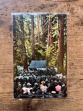 Bohemian Grove Postcard Vintage Bohemian Club picture