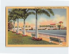 Postcard Royal Palms Along the Yacht Basin Bradenton Florida USA picture