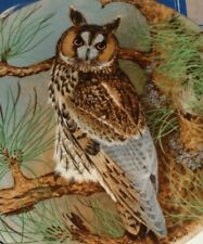 Superb Coalport Collectors Plate LONG EARED OWL 1990 THE WISE OWL #2 picture