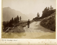 The Frankton Road, New Zealand Vintage Print, Albumin Print 15x20 Cir picture