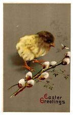 Antique Postcard Easter Chick Nature Animal 1911 Germany picture