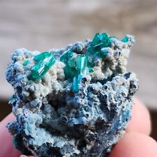 Emerald Color DT Dioptase Crystals Specimen Namibia, 22gm, Top Lustrous Quality picture