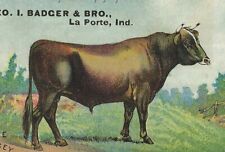 AJ-306 IN, La Porte Geo I Badger Bro Jersey Bull Pedro Victorian Trade Card picture