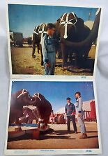 Vintage Photo 1954 Three Ring Circus Jerry Lewis with Elephants 2 photos picture