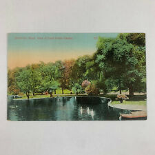 Postcard Massachusetts Boston MA Public Garden Pond 1910s Unposted  picture