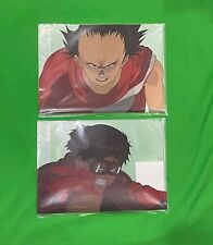AKIRA CEL EXHIBITION OTOMO THE COMPLETE WORKS KANEDA TETSUO CLEAR FILES picture