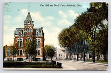 c1907~Ashtabula Ohio OH~Old City Hall & North Park~Antique Postcard picture