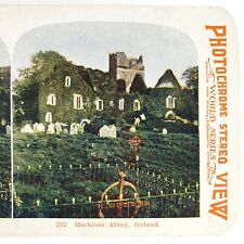 Kerry Ireland Muckross Abbey Stereoview c1905 Photochrome Irish Graveyard H1064 picture