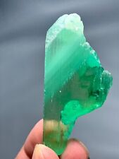 185 Carat Hiddenite Kunzite Crystal From Afghanistan picture