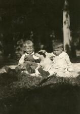 QT151 Vtg Photo TWO BOYS WITH THEIR DOG ON A BLANKET c Early 1900's picture