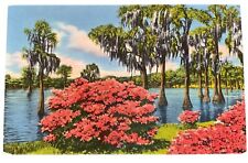 Postcard Greenfield Lake, Wilmington NC  Azaleas Unposted Chrome picture