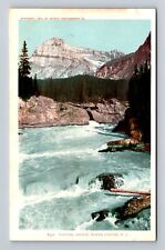 Wapta Canyon-British Columbia, Natural Bridge, Antique Vintage Postcard picture