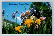 Jackson TN-Tennessee, General Greetings, Flowers, Vintage Souvenir Postcard picture