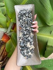 Wholesale Lot 25 pcs Old Peace River Florida Shark Tooth Frags/Whole Pieces Exti picture