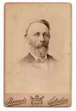 C. 1880s CABINET CARD BRANDS STUDIO OLDER BEARDED MAN IN SUIT CHICAGO ILLINOIS picture
