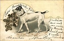 CPA AK Dog with Clovers DOGS (1388406) picture